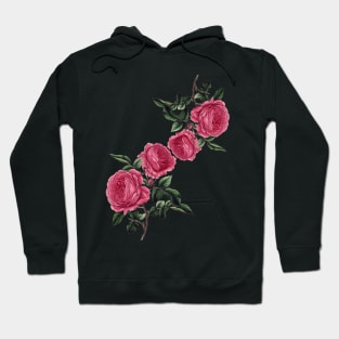 Pink mauve roses Hoodie